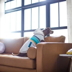 Frisco Striped Grey Dog & Cat Hoodie -FRISCO Sales 312264 PT8. SY630 V1644880135