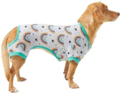 Frisco Rainbow Dog & Cat PJs