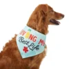 Frisco Living My Best Life Dog & Cat Bandana -FRISCO Sales 312288 MAIN. SY630 V1644881351