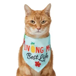 Frisco Living My Best Life Dog & Cat Bandana -FRISCO Sales 312288 PT2. SY630 V1644884916