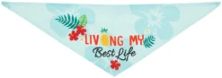 Frisco Living My Best Life Dog & Cat Bandana -FRISCO Sales 312288 PT4. SY630 V1644882738