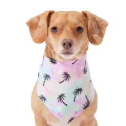 Frisco Palm Tree Dog & Cat Bandana