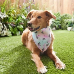 Frisco Palm Tree Dog & Cat Bandana -FRISCO Sales 312291 PT8. SY630 V1644881007