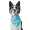 Frisco Spring Floral Dog & Cat Bandana -FRISCO Sales 312294 MAIN. SY630 V1644879397