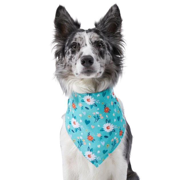 Frisco Spring Floral Dog & Cat Bandana 3 Frisco Spring Floral Dog & Cat Bandana
