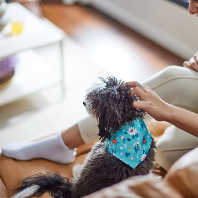 Frisco Spring Floral Dog & Cat Bandana 8 Frisco Spring Floral Dog & Cat Bandana - Image 6