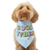 Frisco Good Vibes Dog & Cat Bandana -FRISCO Sales 312297 MAIN. SY630 V1644880141
