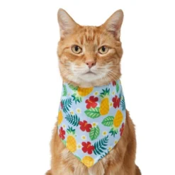 Frisco Hawaiian Pineapple Dog & Cat Bandana -FRISCO Sales 312300 PT2. SY630 V1644878643