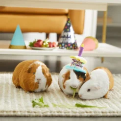 Frisco Happy Birthday Guinea Pig Hat -FRISCO Sales 313132 PT8. SY630 V1644526064