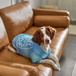 Frisco Peace Love Rescue Dog & Cat T-Shirt -FRISCO Sales 315067 PT8. SY630 V1646349423