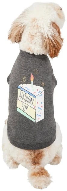 Frisco Birthday Pup Dog & Cat T-Shirt