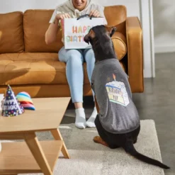 Frisco Birthday Pup Dog & Cat T-Shirt 13 Frisco Birthday Pup Dog & Cat T-Shirt -FRISCO Sales 315075 PT8. SY630 V1646442759