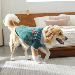 Frisco Green Rugby Dog & Cat Polo Shirt -FRISCO Sales 315083 PT8. SY630 V1646437999