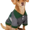Frisco Green Striped Polo Dog & Cat Shirt -FRISCO Sales 315091 MAIN. SY630 V1646438584