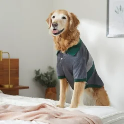 Frisco Green Striped Polo Dog & Cat Shirt -FRISCO Sales 315091 PT8. SY630 V1646434389