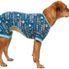 Frisco Celebration Dog & Cat PJs -FRISCO Sales 315100 MAIN. SY630 V1646437297
