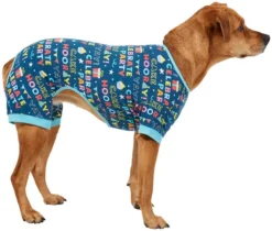 Frisco Celebration Dog & Cat PJs