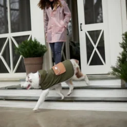 Frisco Olive Reversible Packable Dog Raincoat -FRISCO Sales 315116 PT8. SY630 V1646435907