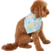 Frisco Birthday Pup Dog & Cat Bandana -FRISCO Sales 315130 MAIN. SY630 V1646437330