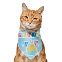 Frisco Birthday Pup Dog & Cat Bandana -FRISCO Sales 315130 PT2. SY630 V1646437964