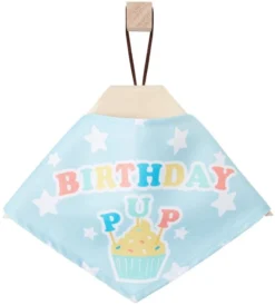 Frisco Birthday Pup Dog & Cat Bandana -FRISCO Sales 315130 PT4. SY630 V1646441905