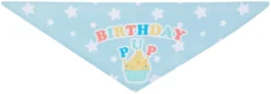 Frisco Birthday Pup Dog & Cat Bandana -FRISCO Sales 315130 PT5. SY630 V1646434611
