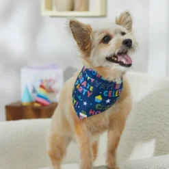Frisco Celebration Dog & Cat Bandana -FRISCO Sales 315133 PT8. SY630 V1646439775