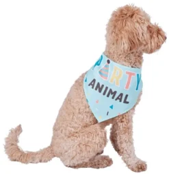 Frisco Party Animal Dog & Cat Bandana