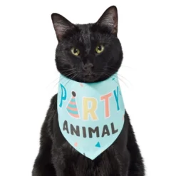 Frisco Party Animal Dog & Cat Bandana -FRISCO Sales 315136 PT2. SY630 V1646438016