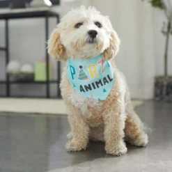 Frisco Party Animal Dog & Cat Bandana -FRISCO Sales 315136 PT8. SY630 V1646433185