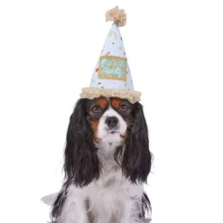 Frisco It's a Party Animal Dog & Cat Hat -FRISCO Sales 315139 PT2. SY630 V1646439434
