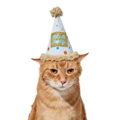 Frisco It's a Party Animal Dog & Cat Hat -FRISCO Sales 315139 PT3. SY630 V1646434023