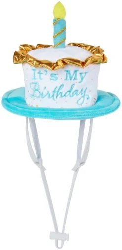 Frisco It's My Birthday Dog & Cat Hat