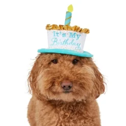 Frisco It's My Birthday Dog & Cat Hat -FRISCO Sales 315142 PT2. SY630 V1646436466