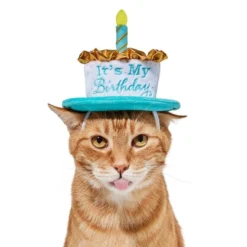 Frisco It's My Birthday Dog & Cat Hat -FRISCO Sales 315142 PT3. SY630 V1646437287