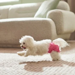 Frisco Washable Female Diaper, Flamingo, 3pk 10 Frisco Washable Female Diaper, Flamingo, 3pk -FRISCO Sales 315700 PT3. SY630 V1644883551