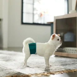 Frisco Washable Male Wrap, Whales, 3pk -FRISCO Sales 315706 PT3. SY630 V1644882254