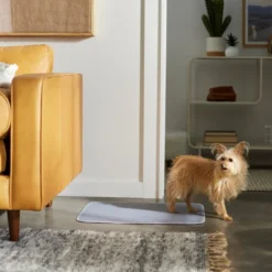 Frisco Washable Dog Potty Pads, 2pk, Unscented 9 Frisco Washable Dog Potty Pads, 2pk, Unscented -FRISCO Sales 315712 PT3. SY630 V1644880410