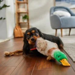 Frisco Fur Really Real Mallard Plush Squeaky Dog Toy 7 Frisco Fur Really Real Mallard Plush Squeaky Dog Toy -FRISCO Sales 316927 PT2. SY630 V1641400912