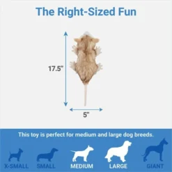 The Frisco Store -FRISCO Sales 316929 PT1. SY630 V1641400941