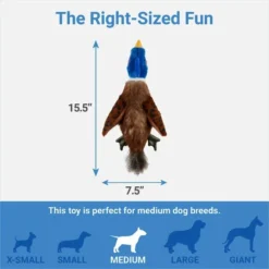 Frisco Fur Really Real Pheasant Plush Squeaky Dog Toy -FRISCO Sales 316931 PT1. SY630 V1641400942