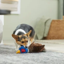 Frisco Fur Really Real Pheasant Plush Squeaky Dog Toy -FRISCO Sales 316931 PT2. SY630 V1641400893