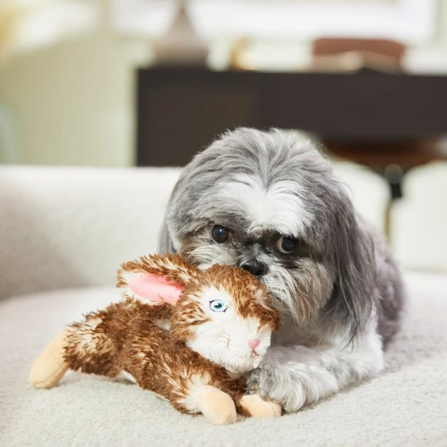 Frisco Realistic Plush Rabbit Plush Dog Toy 5 Frisco Realistic Plush Rabbit Plush Dog Toy - Image 3