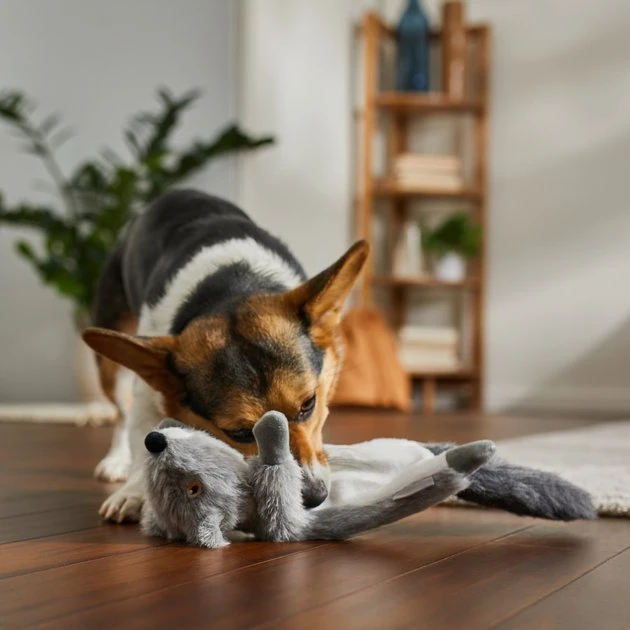 Frisco Fur Really Real Squirrel Plush Laying Squeaky Dog Toy 5 Frisco Fur Really Real Squirrel Plush Laying Squeaky Dog Toy - Image 3