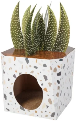 Frisco Potted Succulent Cardboard Cat House