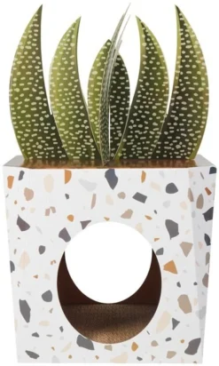 Frisco Potted Succulent Cardboard Cat House -FRISCO Sales 317723 PT2. SY630 V1642088638