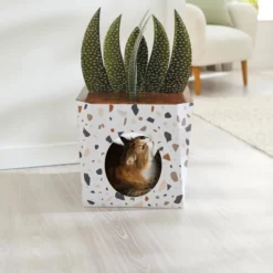 Frisco Potted Succulent Cardboard Cat House -FRISCO Sales 317723 PT3. SY630 V1642099430