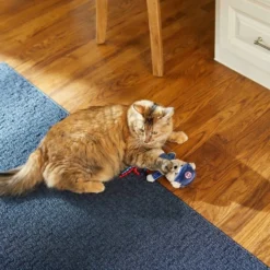 Frisco||Pets First Frisco Baseball Bear Plush and Crinkle Kicker Toy + Pets First Chicago Cubs Baseball Cat Scratcher Toy with Catnip -FRISCO Sales 318986 PT3. SY630 V1630363596
