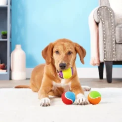 Frisco||Playology Frisco Fetch Squeaking Colorful Tennis Ball, 3-Pack + Playology All Natural Dual Layer Bone Dog Toy, Large, Peanut Butter Scented -FRISCO Sales 319022 PT3. SY630 V1630552585