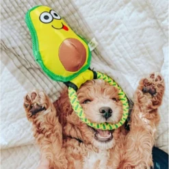 Frisco||Avo Doggo Frisco Hide and Seek Plush Guacamole Toy + Avo Doggo Avocado Dog Tug Toy 18 Frisco||Avo Doggo Frisco Hide and Seek Plush Guacamole Toy + Avo Doggo Avocado Dog Tug Toy -FRISCO Sales 319052 PT7. SY630 V1630561579